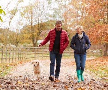 Two people and a dog walk in a park surrounded by autumn foliage.