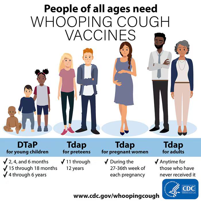 Chart depicting that people of all ages need whooping cough vaccines.