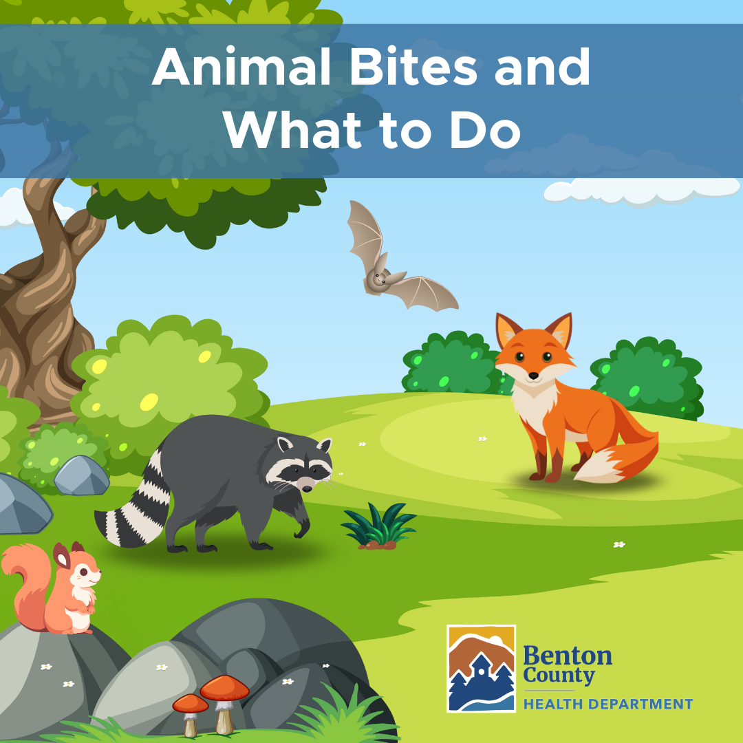 An animated bat, fox, raccoon, and squirrel in a grassy area with a tree, rocks, and bushes. Text reads, "Animal Bites and What to Do."