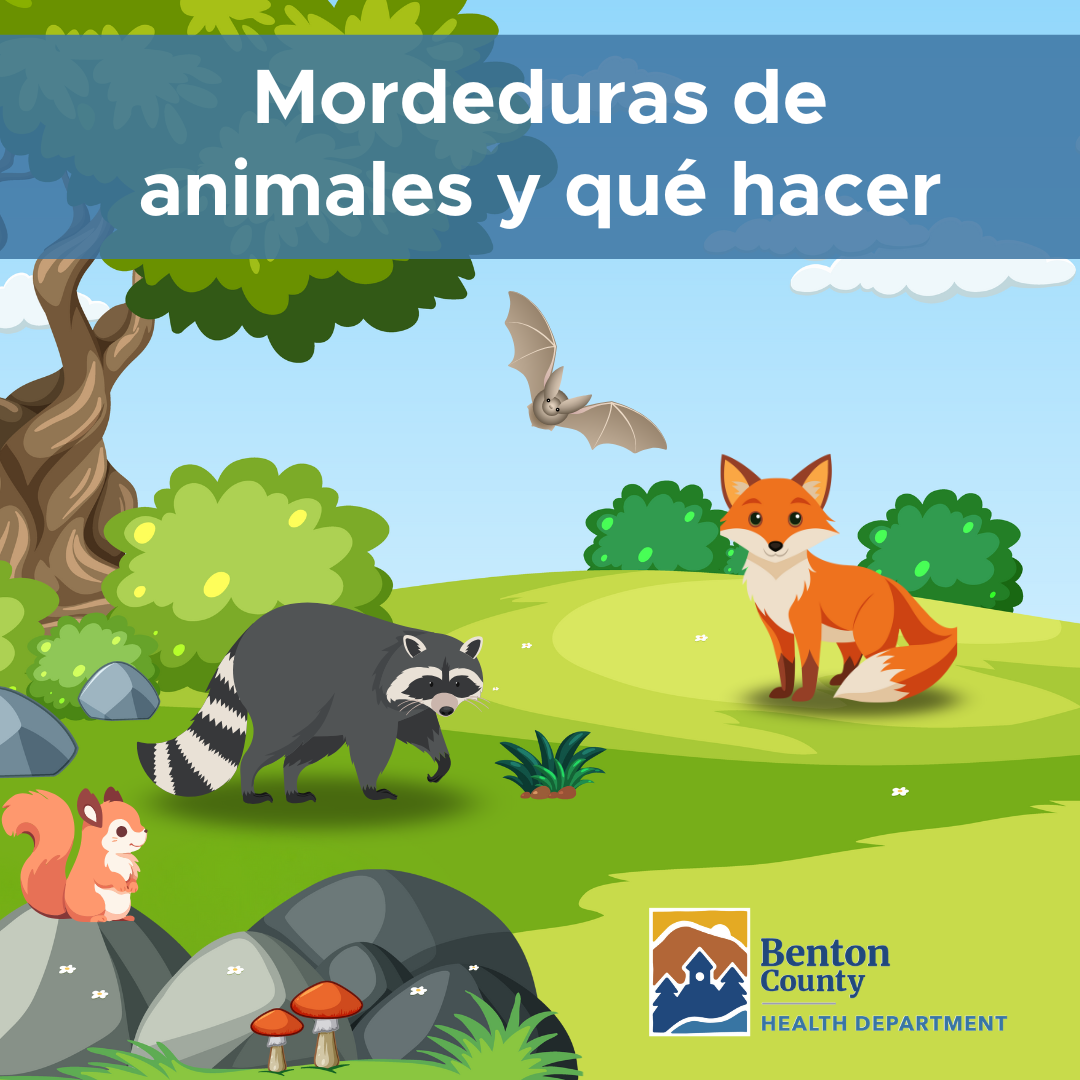 An animated bat, fox, raccoon, and squirrel in a grassy area with a tree, rocks, and bushes. Text reads, "Animal Bites and What to Do."